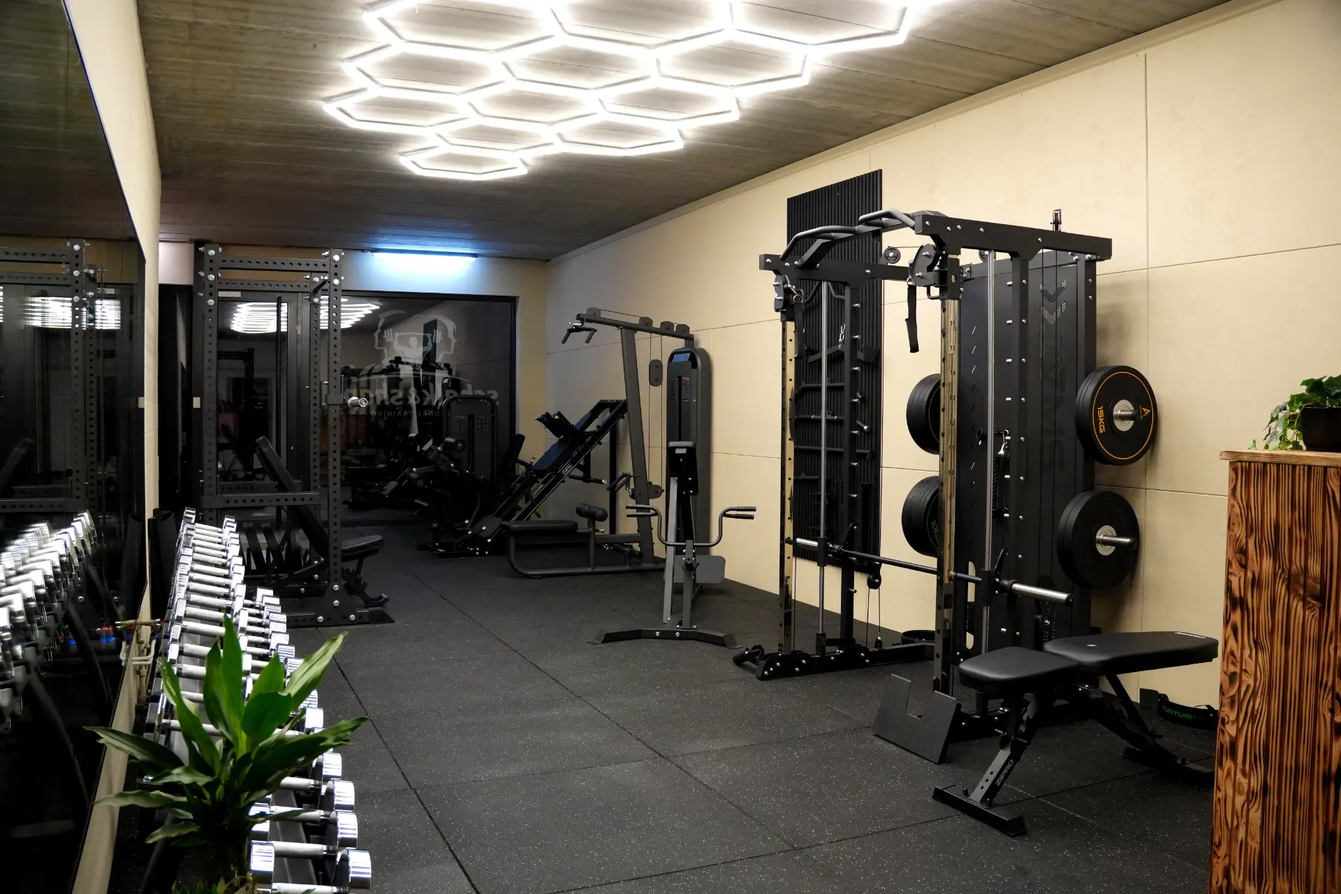 Luxe krachtmateriaal en dumbbells in de private gym van Schalk & Shape personal training in Minderhout